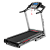 Беговая дорожка BH FITNESS PIONEER R5 